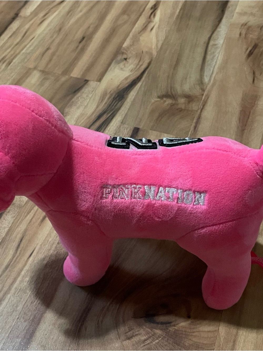 Victoria's Secret PINK Plush Dog Bundle Large Hot Pink PN & Valentine Mini 2pc - Picture 4 of 12